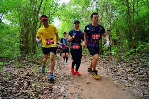 BIB: 2415, 2309, 2414
                            <button type="button" onclick="openModal(4530323)" class="btn btn-primary btn-sm float-right btn-popup" data-toggle="modal" data-target=".modal-high-quality">
                        <i class="fas fa-shopping-cart"></i> Add to Cart
                    </button>
                                            <button type="button" onclick="isThisMe(4530323, true)" class="btn btn-success btn-sm float-right btn-popup btn-isme hidden" data-toggle="tooltip" data-placement="bottom" title="นี่คือรูปของคุณใช่ไหม คลิกที่นี่เพื่อเอาเข้าอัลบั้ม">
                        <i class="fas fa-plus"></i> Add to album
                    </button>
                    <button type="button" onclick="isThisMe(4530323, false)" class="btn btn-warning btn-sm float-right btn-popup btn-isnotme hidden">
                        <i class="fas fa-ban"></i> Remove from album
                    </button>