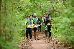 BIB: 
                            <button type="button" onclick="openModal(4442685)" class="btn btn-primary btn-sm float-right btn-popup" data-toggle="modal" data-target=".modal-high-quality">
                        <i class="fas fa-shopping-cart"></i> Add to Cart
                    </button>
                                            <button type="button" onclick="isThisMe(4442685, true)" class="btn btn-success btn-sm float-right btn-popup btn-isme hidden" data-toggle="tooltip" data-placement="bottom" title="นี่คือรูปของคุณใช่ไหม คลิกที่นี่เพื่อเอาเข้าอัลบั้ม">
                        <i class="fas fa-plus"></i> Add to album
                    </button>
                    <button type="button" onclick="isThisMe(4442685, false)" class="btn btn-warning btn-sm float-right btn-popup btn-isnotme hidden">
                        <i class="fas fa-ban"></i> Remove from album
                    </button>