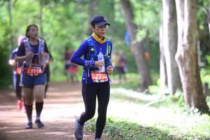 BIB: 47118, 2230
                            <button type="button" onclick="openModal(4167181)" class="btn btn-primary btn-sm float-right btn-popup" data-toggle="modal" data-target=".modal-high-quality">
                        <i class="fas fa-shopping-cart"></i> Add to Cart
                    </button>
                                            <button type="button" onclick="isThisMe(4167181, true)" class="btn btn-success btn-sm float-right btn-popup btn-isme hidden" data-toggle="tooltip" data-placement="bottom" title="นี่คือรูปของคุณใช่ไหม คลิกที่นี่เพื่อเอาเข้าอัลบั้ม">
                        <i class="fas fa-plus"></i> Add to album
                    </button>
                    <button type="button" onclick="isThisMe(4167181, false)" class="btn btn-warning btn-sm float-right btn-popup btn-isnotme hidden">
                        <i class="fas fa-ban"></i> Remove from album
                    </button>