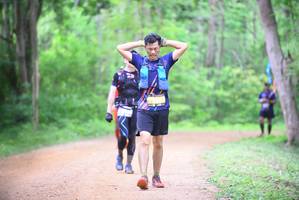 BIB: 
                            <button type="button" onclick="openModal(3935294)" class="btn btn-primary btn-sm float-right btn-popup" data-toggle="modal" data-target=".modal-high-quality">
                        <i class="fas fa-shopping-cart"></i> Add to Cart
                    </button>
                                            <button type="button" onclick="isThisMe(3935294, true)" class="btn btn-success btn-sm float-right btn-popup btn-isme hidden" data-toggle="tooltip" data-placement="bottom" title="นี่คือรูปของคุณใช่ไหม คลิกที่นี่เพื่อเอาเข้าอัลบั้ม">
                        <i class="fas fa-plus"></i> Add to album
                    </button>
                    <button type="button" onclick="isThisMe(3935294, false)" class="btn btn-warning btn-sm float-right btn-popup btn-isnotme hidden">
                        <i class="fas fa-ban"></i> Remove from album
                    </button>