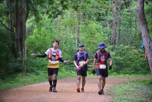 BIB: 8253
                            <button type="button" onclick="openModal(3927390)" class="btn btn-primary btn-sm float-right btn-popup" data-toggle="modal" data-target=".modal-high-quality">
                        <i class="fas fa-shopping-cart"></i> Add to Cart
                    </button>
                                            <button type="button" onclick="isThisMe(3927390, true)" class="btn btn-success btn-sm float-right btn-popup btn-isme hidden" data-toggle="tooltip" data-placement="bottom" title="นี่คือรูปของคุณใช่ไหม คลิกที่นี่เพื่อเอาเข้าอัลบั้ม">
                        <i class="fas fa-plus"></i> Add to album
                    </button>
                    <button type="button" onclick="isThisMe(3927390, false)" class="btn btn-warning btn-sm float-right btn-popup btn-isnotme hidden">
                        <i class="fas fa-ban"></i> Remove from album
                    </button>