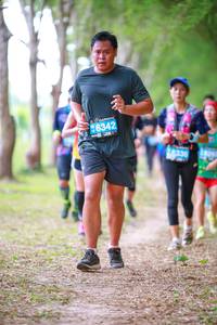 BIB: 6342, 6336
                            <button type="button" onclick="openModal(4251462)" class="btn btn-primary btn-sm float-right btn-popup" data-toggle="modal" data-target=".modal-high-quality">
                        <i class="fas fa-shopping-cart"></i> Add to Cart
                    </button>
                                            <button type="button" onclick="isThisMe(4251462, true)" class="btn btn-success btn-sm float-right btn-popup btn-isme hidden" data-toggle="tooltip" data-placement="bottom" title="นี่คือรูปของคุณใช่ไหม คลิกที่นี่เพื่อเอาเข้าอัลบั้ม">
                        <i class="fas fa-plus"></i> Add to album
                    </button>
                    <button type="button" onclick="isThisMe(4251462, false)" class="btn btn-warning btn-sm float-right btn-popup btn-isnotme hidden">
                        <i class="fas fa-ban"></i> Remove from album
                    </button>