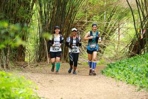 BIB: 3968, 3967, 44014
                            <button type="button" onclick="openModal(3905349)" class="btn btn-primary btn-sm float-right btn-popup" data-toggle="modal" data-target=".modal-high-quality">
                        <i class="fas fa-shopping-cart"></i> Add to Cart
                    </button>
                                            <button type="button" onclick="isThisMe(3905349, true)" class="btn btn-success btn-sm float-right btn-popup btn-isme hidden" data-toggle="tooltip" data-placement="bottom" title="นี่คือรูปของคุณใช่ไหม คลิกที่นี่เพื่อเอาเข้าอัลบั้ม">
                        <i class="fas fa-plus"></i> Add to album
                    </button>
                    <button type="button" onclick="isThisMe(3905349, false)" class="btn btn-warning btn-sm float-right btn-popup btn-isnotme hidden">
                        <i class="fas fa-ban"></i> Remove from album
                    </button>