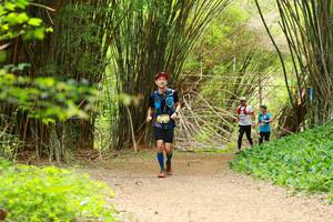 BIB: 
                            <button type="button" onclick="openModal(3905519)" class="btn btn-primary btn-sm float-right btn-popup" data-toggle="modal" data-target=".modal-high-quality">
                        <i class="fas fa-shopping-cart"></i> Add to Cart
                    </button>
                                            <button type="button" onclick="isThisMe(3905519, true)" class="btn btn-success btn-sm float-right btn-popup btn-isme hidden" data-toggle="tooltip" data-placement="bottom" title="นี่คือรูปของคุณใช่ไหม คลิกที่นี่เพื่อเอาเข้าอัลบั้ม">
                        <i class="fas fa-plus"></i> Add to album
                    </button>
                    <button type="button" onclick="isThisMe(3905519, false)" class="btn btn-warning btn-sm float-right btn-popup btn-isnotme hidden">
                        <i class="fas fa-ban"></i> Remove from album
                    </button>