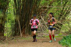 BIB: 43023, 3062
                            <button type="button" onclick="openModal(3905208)" class="btn btn-primary btn-sm float-right btn-popup" data-toggle="modal" data-target=".modal-high-quality">
                        <i class="fas fa-shopping-cart"></i> Add to Cart
                    </button>
                                            <button type="button" onclick="isThisMe(3905208, true)" class="btn btn-success btn-sm float-right btn-popup btn-isme hidden" data-toggle="tooltip" data-placement="bottom" title="นี่คือรูปของคุณใช่ไหม คลิกที่นี่เพื่อเอาเข้าอัลบั้ม">
                        <i class="fas fa-plus"></i> Add to album
                    </button>
                    <button type="button" onclick="isThisMe(3905208, false)" class="btn btn-warning btn-sm float-right btn-popup btn-isnotme hidden">
                        <i class="fas fa-ban"></i> Remove from album
                    </button>