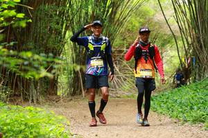 BIB: 
                            <button type="button" onclick="openModal(3905708)" class="btn btn-primary btn-sm float-right btn-popup" data-toggle="modal" data-target=".modal-high-quality">
                        <i class="fas fa-shopping-cart"></i> Add to Cart
                    </button>
                                            <button type="button" onclick="isThisMe(3905708, true)" class="btn btn-success btn-sm float-right btn-popup btn-isme hidden" data-toggle="tooltip" data-placement="bottom" title="นี่คือรูปของคุณใช่ไหม คลิกที่นี่เพื่อเอาเข้าอัลบั้ม">
                        <i class="fas fa-plus"></i> Add to album
                    </button>
                    <button type="button" onclick="isThisMe(3905708, false)" class="btn btn-warning btn-sm float-right btn-popup btn-isnotme hidden">
                        <i class="fas fa-ban"></i> Remove from album
                    </button>