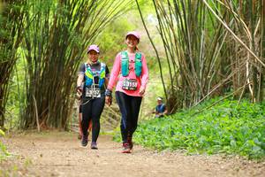 BIB: 3158, 3757
                            <button type="button" onclick="openModal(3904247)" class="btn btn-primary btn-sm float-right btn-popup" data-toggle="modal" data-target=".modal-high-quality">
                        <i class="fas fa-shopping-cart"></i> Add to Cart
                    </button>
                                            <button type="button" onclick="isThisMe(3904247, true)" class="btn btn-success btn-sm float-right btn-popup btn-isme hidden" data-toggle="tooltip" data-placement="bottom" title="นี่คือรูปของคุณใช่ไหม คลิกที่นี่เพื่อเอาเข้าอัลบั้ม">
                        <i class="fas fa-plus"></i> Add to album
                    </button>
                    <button type="button" onclick="isThisMe(3904247, false)" class="btn btn-warning btn-sm float-right btn-popup btn-isnotme hidden">
                        <i class="fas fa-ban"></i> Remove from album
                    </button>