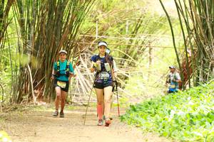 BIB: 3603, 
                            <button type="button" onclick="openModal(3906343)" class="btn btn-primary btn-sm float-right btn-popup" data-toggle="modal" data-target=".modal-high-quality">
                        <i class="fas fa-shopping-cart"></i> Add to Cart
                    </button>
                                            <button type="button" onclick="isThisMe(3906343, true)" class="btn btn-success btn-sm float-right btn-popup btn-isme hidden" data-toggle="tooltip" data-placement="bottom" title="นี่คือรูปของคุณใช่ไหม คลิกที่นี่เพื่อเอาเข้าอัลบั้ม">
                        <i class="fas fa-plus"></i> Add to album
                    </button>
                    <button type="button" onclick="isThisMe(3906343, false)" class="btn btn-warning btn-sm float-right btn-popup btn-isnotme hidden">
                        <i class="fas fa-ban"></i> Remove from album
                    </button>