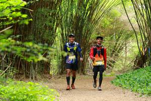 BIB: 55912
                            <button type="button" onclick="openModal(3905702)" class="btn btn-primary btn-sm float-right btn-popup" data-toggle="modal" data-target=".modal-high-quality">
                        <i class="fas fa-shopping-cart"></i> Add to Cart
                    </button>
                                            <button type="button" onclick="isThisMe(3905702, true)" class="btn btn-success btn-sm float-right btn-popup btn-isme hidden" data-toggle="tooltip" data-placement="bottom" title="นี่คือรูปของคุณใช่ไหม คลิกที่นี่เพื่อเอาเข้าอัลบั้ม">
                        <i class="fas fa-plus"></i> Add to album
                    </button>
                    <button type="button" onclick="isThisMe(3905702, false)" class="btn btn-warning btn-sm float-right btn-popup btn-isnotme hidden">
                        <i class="fas fa-ban"></i> Remove from album
                    </button>