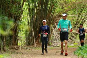 BIB: 3652, 1300, 3653
                            <button type="button" onclick="openModal(3904780)" class="btn btn-primary btn-sm float-right btn-popup" data-toggle="modal" data-target=".modal-high-quality">
                        <i class="fas fa-shopping-cart"></i> Add to Cart
                    </button>
                                            <button type="button" onclick="isThisMe(3904780, true)" class="btn btn-success btn-sm float-right btn-popup btn-isme hidden" data-toggle="tooltip" data-placement="bottom" title="นี่คือรูปของคุณใช่ไหม คลิกที่นี่เพื่อเอาเข้าอัลบั้ม">
                        <i class="fas fa-plus"></i> Add to album
                    </button>
                    <button type="button" onclick="isThisMe(3904780, false)" class="btn btn-warning btn-sm float-right btn-popup btn-isnotme hidden">
                        <i class="fas fa-ban"></i> Remove from album
                    </button>