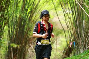 BIB: 5277
                            <button type="button" onclick="openModal(3905401)" class="btn btn-primary btn-sm float-right btn-popup" data-toggle="modal" data-target=".modal-high-quality">
                        <i class="fas fa-shopping-cart"></i> Add to Cart
                    </button>
                                            <button type="button" onclick="isThisMe(3905401, true)" class="btn btn-success btn-sm float-right btn-popup btn-isme hidden" data-toggle="tooltip" data-placement="bottom" title="นี่คือรูปของคุณใช่ไหม คลิกที่นี่เพื่อเอาเข้าอัลบั้ม">
                        <i class="fas fa-plus"></i> Add to album
                    </button>
                    <button type="button" onclick="isThisMe(3905401, false)" class="btn btn-warning btn-sm float-right btn-popup btn-isnotme hidden">
                        <i class="fas fa-ban"></i> Remove from album
                    </button>