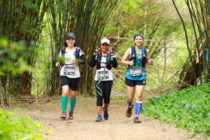 BIB: 3966, 3967, 4014
                            <button type="button" onclick="openModal(3905358)" class="btn btn-primary btn-sm float-right btn-popup" data-toggle="modal" data-target=".modal-high-quality">
                        <i class="fas fa-shopping-cart"></i> Add to Cart
                    </button>
                                            <button type="button" onclick="isThisMe(3905358, true)" class="btn btn-success btn-sm float-right btn-popup btn-isme hidden" data-toggle="tooltip" data-placement="bottom" title="นี่คือรูปของคุณใช่ไหม คลิกที่นี่เพื่อเอาเข้าอัลบั้ม">
                        <i class="fas fa-plus"></i> Add to album
                    </button>
                    <button type="button" onclick="isThisMe(3905358, false)" class="btn btn-warning btn-sm float-right btn-popup btn-isnotme hidden">
                        <i class="fas fa-ban"></i> Remove from album
                    </button>