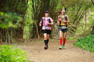 BIB: 3062, 3023
                            <button type="button" onclick="openModal(3905213)" class="btn btn-primary btn-sm float-right btn-popup" data-toggle="modal" data-target=".modal-high-quality">
                        <i class="fas fa-shopping-cart"></i> Add to Cart
                    </button>
                                            <button type="button" onclick="isThisMe(3905213, true)" class="btn btn-success btn-sm float-right btn-popup btn-isme hidden" data-toggle="tooltip" data-placement="bottom" title="นี่คือรูปของคุณใช่ไหม คลิกที่นี่เพื่อเอาเข้าอัลบั้ม">
                        <i class="fas fa-plus"></i> Add to album
                    </button>
                    <button type="button" onclick="isThisMe(3905213, false)" class="btn btn-warning btn-sm float-right btn-popup btn-isnotme hidden">
                        <i class="fas fa-ban"></i> Remove from album
                    </button>