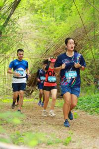 BIB: 46200, 1795
                            <button type="button" onclick="openModal(3914187)" class="btn btn-primary btn-sm float-right btn-popup" data-toggle="modal" data-target=".modal-high-quality">
                        <i class="fas fa-shopping-cart"></i> Add to Cart
                    </button>
                                            <button type="button" onclick="isThisMe(3914187, true)" class="btn btn-success btn-sm float-right btn-popup btn-isme hidden" data-toggle="tooltip" data-placement="bottom" title="นี่คือรูปของคุณใช่ไหม คลิกที่นี่เพื่อเอาเข้าอัลบั้ม">
                        <i class="fas fa-plus"></i> Add to album
                    </button>
                    <button type="button" onclick="isThisMe(3914187, false)" class="btn btn-warning btn-sm float-right btn-popup btn-isnotme hidden">
                        <i class="fas fa-ban"></i> Remove from album
                    </button>