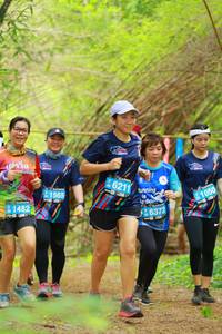BIB: 6211, 1565, 1050, 1482, 6372
                            <button type="button" onclick="openModal(3921656)" class="btn btn-primary btn-sm float-right btn-popup" data-toggle="modal" data-target=".modal-high-quality">
                        <i class="fas fa-shopping-cart"></i> Add to Cart
                    </button>
                                            <button type="button" onclick="isThisMe(3921656, true)" class="btn btn-success btn-sm float-right btn-popup btn-isme hidden" data-toggle="tooltip" data-placement="bottom" title="นี่คือรูปของคุณใช่ไหม คลิกที่นี่เพื่อเอาเข้าอัลบั้ม">
                        <i class="fas fa-plus"></i> Add to album
                    </button>
                    <button type="button" onclick="isThisMe(3921656, false)" class="btn btn-warning btn-sm float-right btn-popup btn-isnotme hidden">
                        <i class="fas fa-ban"></i> Remove from album
                    </button>