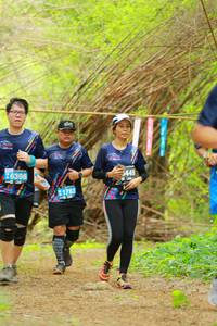 BIB: 6398, 449, 1783
                            <button type="button" onclick="openModal(3916942)" class="btn btn-primary btn-sm float-right btn-popup" data-toggle="modal" data-target=".modal-high-quality">
                        <i class="fas fa-shopping-cart"></i> Add to Cart
                    </button>
                                            <button type="button" onclick="isThisMe(3916942, true)" class="btn btn-success btn-sm float-right btn-popup btn-isme hidden" data-toggle="tooltip" data-placement="bottom" title="นี่คือรูปของคุณใช่ไหม คลิกที่นี่เพื่อเอาเข้าอัลบั้ม">
                        <i class="fas fa-plus"></i> Add to album
                    </button>
                    <button type="button" onclick="isThisMe(3916942, false)" class="btn btn-warning btn-sm float-right btn-popup btn-isnotme hidden">
                        <i class="fas fa-ban"></i> Remove from album
                    </button>