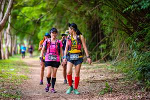 BIB: 3023, 3062
                            <button type="button" onclick="openModal(4525535)" class="btn btn-primary btn-sm float-right btn-popup" data-toggle="modal" data-target=".modal-high-quality">
                        <i class="fas fa-shopping-cart"></i> Add to Cart
                    </button>
                                            <button type="button" onclick="isThisMe(4525535, true)" class="btn btn-success btn-sm float-right btn-popup btn-isme hidden" data-toggle="tooltip" data-placement="bottom" title="นี่คือรูปของคุณใช่ไหม คลิกที่นี่เพื่อเอาเข้าอัลบั้ม">
                        <i class="fas fa-plus"></i> Add to album
                    </button>
                    <button type="button" onclick="isThisMe(4525535, false)" class="btn btn-warning btn-sm float-right btn-popup btn-isnotme hidden">
                        <i class="fas fa-ban"></i> Remove from album
                    </button>