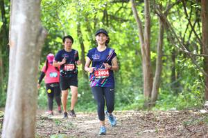 BIB: 2512, 2404
                            <button type="button" onclick="openModal(3977907)" class="btn btn-primary btn-sm float-right btn-popup" data-toggle="modal" data-target=".modal-high-quality">
                        <i class="fas fa-shopping-cart"></i> Add to Cart
                    </button>
                                            <button type="button" onclick="isThisMe(3977907, true)" class="btn btn-success btn-sm float-right btn-popup btn-isme hidden" data-toggle="tooltip" data-placement="bottom" title="นี่คือรูปของคุณใช่ไหม คลิกที่นี่เพื่อเอาเข้าอัลบั้ม">
                        <i class="fas fa-plus"></i> Add to album
                    </button>
                    <button type="button" onclick="isThisMe(3977907, false)" class="btn btn-warning btn-sm float-right btn-popup btn-isnotme hidden">
                        <i class="fas fa-ban"></i> Remove from album
                    </button>