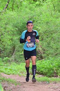 BIB: 
                            <button type="button" onclick="openModal(4154815)" class="btn btn-primary btn-sm float-right btn-popup" data-toggle="modal" data-target=".modal-high-quality">
                        <i class="fas fa-shopping-cart"></i> Add to Cart
                    </button>
                                            <button type="button" onclick="isThisMe(4154815, true)" class="btn btn-success btn-sm float-right btn-popup btn-isme hidden" data-toggle="tooltip" data-placement="bottom" title="นี่คือรูปของคุณใช่ไหม คลิกที่นี่เพื่อเอาเข้าอัลบั้ม">
                        <i class="fas fa-plus"></i> Add to album
                    </button>
                    <button type="button" onclick="isThisMe(4154815, false)" class="btn btn-warning btn-sm float-right btn-popup btn-isnotme hidden">
                        <i class="fas fa-ban"></i> Remove from album
                    </button>