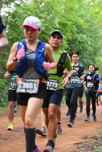 BIB: 3605, 8292, 3773, 317, 3651
                            <button type="button" onclick="openModal(3917368)" class="btn btn-primary btn-sm float-right btn-popup" data-toggle="modal" data-target=".modal-high-quality">
                        <i class="fas fa-shopping-cart"></i> Add to Cart
                    </button>
                                            <button type="button" onclick="isThisMe(3917368, true)" class="btn btn-success btn-sm float-right btn-popup btn-isme hidden" data-toggle="tooltip" data-placement="bottom" title="นี่คือรูปของคุณใช่ไหม คลิกที่นี่เพื่อเอาเข้าอัลบั้ม">
                        <i class="fas fa-plus"></i> Add to album
                    </button>
                    <button type="button" onclick="isThisMe(3917368, false)" class="btn btn-warning btn-sm float-right btn-popup btn-isnotme hidden">
                        <i class="fas fa-ban"></i> Remove from album
                    </button>