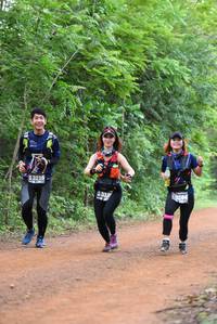 BIB: 3215, 4337
                            <button type="button" onclick="openModal(3923478)" class="btn btn-primary btn-sm float-right btn-popup" data-toggle="modal" data-target=".modal-high-quality">
                        <i class="fas fa-shopping-cart"></i> Add to Cart
                    </button>
                                            <button type="button" onclick="isThisMe(3923478, true)" class="btn btn-success btn-sm float-right btn-popup btn-isme hidden" data-toggle="tooltip" data-placement="bottom" title="นี่คือรูปของคุณใช่ไหม คลิกที่นี่เพื่อเอาเข้าอัลบั้ม">
                        <i class="fas fa-plus"></i> Add to album
                    </button>
                    <button type="button" onclick="isThisMe(3923478, false)" class="btn btn-warning btn-sm float-right btn-popup btn-isnotme hidden">
                        <i class="fas fa-ban"></i> Remove from album
                    </button>