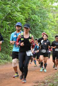 BIB: 385, 3110
                            <button type="button" onclick="openModal(3915071)" class="btn btn-primary btn-sm float-right btn-popup" data-toggle="modal" data-target=".modal-high-quality">
                        <i class="fas fa-shopping-cart"></i> Add to Cart
                    </button>
                                            <button type="button" onclick="isThisMe(3915071, true)" class="btn btn-success btn-sm float-right btn-popup btn-isme hidden" data-toggle="tooltip" data-placement="bottom" title="นี่คือรูปของคุณใช่ไหม คลิกที่นี่เพื่อเอาเข้าอัลบั้ม">
                        <i class="fas fa-plus"></i> Add to album
                    </button>
                    <button type="button" onclick="isThisMe(3915071, false)" class="btn btn-warning btn-sm float-right btn-popup btn-isnotme hidden">
                        <i class="fas fa-ban"></i> Remove from album
                    </button>