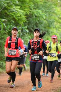 BIB: 3740, 3272, 3634
                            <button type="button" onclick="openModal(3924287)" class="btn btn-primary btn-sm float-right btn-popup" data-toggle="modal" data-target=".modal-high-quality">
                        <i class="fas fa-shopping-cart"></i> Add to Cart
                    </button>
                                            <button type="button" onclick="isThisMe(3924287, true)" class="btn btn-success btn-sm float-right btn-popup btn-isme hidden" data-toggle="tooltip" data-placement="bottom" title="นี่คือรูปของคุณใช่ไหม คลิกที่นี่เพื่อเอาเข้าอัลบั้ม">
                        <i class="fas fa-plus"></i> Add to album
                    </button>
                    <button type="button" onclick="isThisMe(3924287, false)" class="btn btn-warning btn-sm float-right btn-popup btn-isnotme hidden">
                        <i class="fas fa-ban"></i> Remove from album
                    </button>