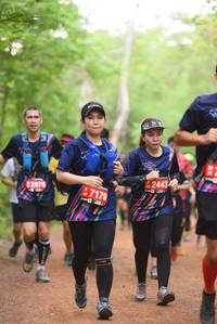 BIB: 2443, 2976, 7179
                            <button type="button" onclick="openModal(4267536)" class="btn btn-primary btn-sm float-right btn-popup" data-toggle="modal" data-target=".modal-high-quality">
                        <i class="fas fa-shopping-cart"></i> Add to Cart
                    </button>
                                            <button type="button" onclick="isThisMe(4267536, true)" class="btn btn-success btn-sm float-right btn-popup btn-isme hidden" data-toggle="tooltip" data-placement="bottom" title="นี่คือรูปของคุณใช่ไหม คลิกที่นี่เพื่อเอาเข้าอัลบั้ม">
                        <i class="fas fa-plus"></i> Add to album
                    </button>
                    <button type="button" onclick="isThisMe(4267536, false)" class="btn btn-warning btn-sm float-right btn-popup btn-isnotme hidden">
                        <i class="fas fa-ban"></i> Remove from album
                    </button>