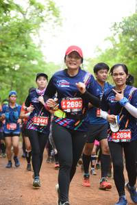 BIB: 2695, 2441, 2694, 
                            <button type="button" onclick="openModal(4270821)" class="btn btn-primary btn-sm float-right btn-popup" data-toggle="modal" data-target=".modal-high-quality">
                        <i class="fas fa-shopping-cart"></i> Add to Cart
                    </button>
                                            <button type="button" onclick="isThisMe(4270821, true)" class="btn btn-success btn-sm float-right btn-popup btn-isme hidden" data-toggle="tooltip" data-placement="bottom" title="นี่คือรูปของคุณใช่ไหม คลิกที่นี่เพื่อเอาเข้าอัลบั้ม">
                        <i class="fas fa-plus"></i> Add to album
                    </button>
                    <button type="button" onclick="isThisMe(4270821, false)" class="btn btn-warning btn-sm float-right btn-popup btn-isnotme hidden">
                        <i class="fas fa-ban"></i> Remove from album
                    </button>