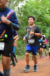 BIB: 3636, 
                            <button type="button" onclick="openModal(3923142)" class="btn btn-primary btn-sm float-right btn-popup" data-toggle="modal" data-target=".modal-high-quality">
                        <i class="fas fa-shopping-cart"></i> Add to Cart
                    </button>
                                            <button type="button" onclick="isThisMe(3923142, true)" class="btn btn-success btn-sm float-right btn-popup btn-isme hidden" data-toggle="tooltip" data-placement="bottom" title="นี่คือรูปของคุณใช่ไหม คลิกที่นี่เพื่อเอาเข้าอัลบั้ม">
                        <i class="fas fa-plus"></i> Add to album
                    </button>
                    <button type="button" onclick="isThisMe(3923142, false)" class="btn btn-warning btn-sm float-right btn-popup btn-isnotme hidden">
                        <i class="fas fa-ban"></i> Remove from album
                    </button>