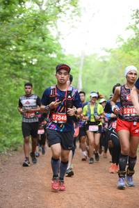 BIB: 219, 7348
                            <button type="button" onclick="openModal(4265924)" class="btn btn-primary btn-sm float-right btn-popup" data-toggle="modal" data-target=".modal-high-quality">
                        <i class="fas fa-shopping-cart"></i> Add to Cart
                    </button>
                                            <button type="button" onclick="isThisMe(4265924, true)" class="btn btn-success btn-sm float-right btn-popup btn-isme hidden" data-toggle="tooltip" data-placement="bottom" title="นี่คือรูปของคุณใช่ไหม คลิกที่นี่เพื่อเอาเข้าอัลบั้ม">
                        <i class="fas fa-plus"></i> Add to album
                    </button>
                    <button type="button" onclick="isThisMe(4265924, false)" class="btn btn-warning btn-sm float-right btn-popup btn-isnotme hidden">
                        <i class="fas fa-ban"></i> Remove from album
                    </button>