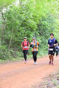 BIB: 13247, 43260
                            <button type="button" onclick="openModal(3930017)" class="btn btn-primary btn-sm float-right btn-popup" data-toggle="modal" data-target=".modal-high-quality">
                        <i class="fas fa-shopping-cart"></i> Add to Cart
                    </button>
                                            <button type="button" onclick="isThisMe(3930017, true)" class="btn btn-success btn-sm float-right btn-popup btn-isme hidden" data-toggle="tooltip" data-placement="bottom" title="นี่คือรูปของคุณใช่ไหม คลิกที่นี่เพื่อเอาเข้าอัลบั้ม">
                        <i class="fas fa-plus"></i> Add to album
                    </button>
                    <button type="button" onclick="isThisMe(3930017, false)" class="btn btn-warning btn-sm float-right btn-popup btn-isnotme hidden">
                        <i class="fas fa-ban"></i> Remove from album
                    </button>