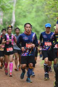 BIB: 2405, 229, 47210, 
                            <button type="button" onclick="openModal(4277547)" class="btn btn-primary btn-sm float-right btn-popup" data-toggle="modal" data-target=".modal-high-quality">
                        <i class="fas fa-shopping-cart"></i> Add to Cart
                    </button>
                                            <button type="button" onclick="isThisMe(4277547, true)" class="btn btn-success btn-sm float-right btn-popup btn-isme hidden" data-toggle="tooltip" data-placement="bottom" title="นี่คือรูปของคุณใช่ไหม คลิกที่นี่เพื่อเอาเข้าอัลบั้ม">
                        <i class="fas fa-plus"></i> Add to album
                    </button>
                    <button type="button" onclick="isThisMe(4277547, false)" class="btn btn-warning btn-sm float-right btn-popup btn-isnotme hidden">
                        <i class="fas fa-ban"></i> Remove from album
                    </button>