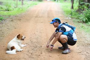 BIB: 
                            <button type="button" onclick="openModal(4140958)" class="btn btn-primary btn-sm float-right btn-popup" data-toggle="modal" data-target=".modal-high-quality">
                        <i class="fas fa-shopping-cart"></i> Add to Cart
                    </button>
                                            <button type="button" onclick="isThisMe(4140958, true)" class="btn btn-success btn-sm float-right btn-popup btn-isme hidden" data-toggle="tooltip" data-placement="bottom" title="นี่คือรูปของคุณใช่ไหม คลิกที่นี่เพื่อเอาเข้าอัลบั้ม">
                        <i class="fas fa-plus"></i> Add to album
                    </button>
                    <button type="button" onclick="isThisMe(4140958, false)" class="btn btn-warning btn-sm float-right btn-popup btn-isnotme hidden">
                        <i class="fas fa-ban"></i> Remove from album
                    </button>