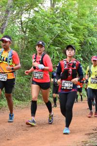 BIB: 3741, 3272, 3770, 3634
                            <button type="button" onclick="openModal(3925369)" class="btn btn-primary btn-sm float-right btn-popup" data-toggle="modal" data-target=".modal-high-quality">
                        <i class="fas fa-shopping-cart"></i> Add to Cart
                    </button>
                                            <button type="button" onclick="isThisMe(3925369, true)" class="btn btn-success btn-sm float-right btn-popup btn-isme hidden" data-toggle="tooltip" data-placement="bottom" title="นี่คือรูปของคุณใช่ไหม คลิกที่นี่เพื่อเอาเข้าอัลบั้ม">
                        <i class="fas fa-plus"></i> Add to album
                    </button>
                    <button type="button" onclick="isThisMe(3925369, false)" class="btn btn-warning btn-sm float-right btn-popup btn-isnotme hidden">
                        <i class="fas fa-ban"></i> Remove from album
                    </button>