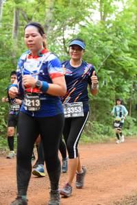 BIB: 213, 3353
                            <button type="button" onclick="openModal(3929675)" class="btn btn-primary btn-sm float-right btn-popup" data-toggle="modal" data-target=".modal-high-quality">
                        <i class="fas fa-shopping-cart"></i> Add to Cart
                    </button>
                                            <button type="button" onclick="isThisMe(3929675, true)" class="btn btn-success btn-sm float-right btn-popup btn-isme hidden" data-toggle="tooltip" data-placement="bottom" title="นี่คือรูปของคุณใช่ไหม คลิกที่นี่เพื่อเอาเข้าอัลบั้ม">
                        <i class="fas fa-plus"></i> Add to album
                    </button>
                    <button type="button" onclick="isThisMe(3929675, false)" class="btn btn-warning btn-sm float-right btn-popup btn-isnotme hidden">
                        <i class="fas fa-ban"></i> Remove from album
                    </button>