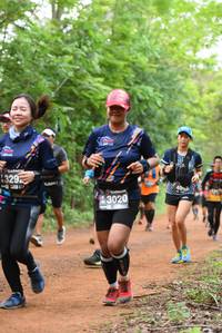 BIB: 329, 3020
                            <button type="button" onclick="openModal(3915003)" class="btn btn-primary btn-sm float-right btn-popup" data-toggle="modal" data-target=".modal-high-quality">
                        <i class="fas fa-shopping-cart"></i> Add to Cart
                    </button>
                                            <button type="button" onclick="isThisMe(3915003, true)" class="btn btn-success btn-sm float-right btn-popup btn-isme hidden" data-toggle="tooltip" data-placement="bottom" title="นี่คือรูปของคุณใช่ไหม คลิกที่นี่เพื่อเอาเข้าอัลบั้ม">
                        <i class="fas fa-plus"></i> Add to album
                    </button>
                    <button type="button" onclick="isThisMe(3915003, false)" class="btn btn-warning btn-sm float-right btn-popup btn-isnotme hidden">
                        <i class="fas fa-ban"></i> Remove from album
                    </button>