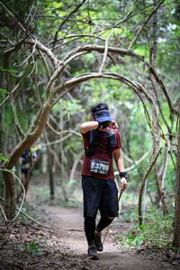 BIB: 3709, 
                            <button type="button" onclick="openModal(4289318)" class="btn btn-primary btn-sm float-right btn-popup" data-toggle="modal" data-target=".modal-high-quality">
                        <i class="fas fa-shopping-cart"></i> Add to Cart
                    </button>
                                            <button type="button" onclick="isThisMe(4289318, true)" class="btn btn-success btn-sm float-right btn-popup btn-isme hidden" data-toggle="tooltip" data-placement="bottom" title="นี่คือรูปของคุณใช่ไหม คลิกที่นี่เพื่อเอาเข้าอัลบั้ม">
                        <i class="fas fa-plus"></i> Add to album
                    </button>
                    <button type="button" onclick="isThisMe(4289318, false)" class="btn btn-warning btn-sm float-right btn-popup btn-isnotme hidden">
                        <i class="fas fa-ban"></i> Remove from album
                    </button>