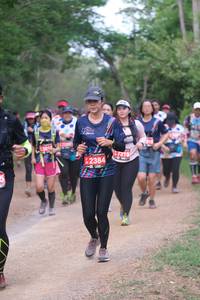 BIB: 2384
                            <button type="button" onclick="openModal(4392183)" class="btn btn-primary btn-sm float-right btn-popup" data-toggle="modal" data-target=".modal-high-quality">
                        <i class="fas fa-shopping-cart"></i> Add to Cart
                    </button>
                                            <button type="button" onclick="isThisMe(4392183, true)" class="btn btn-success btn-sm float-right btn-popup btn-isme hidden" data-toggle="tooltip" data-placement="bottom" title="นี่คือรูปของคุณใช่ไหม คลิกที่นี่เพื่อเอาเข้าอัลบั้ม">
                        <i class="fas fa-plus"></i> Add to album
                    </button>
                    <button type="button" onclick="isThisMe(4392183, false)" class="btn btn-warning btn-sm float-right btn-popup btn-isnotme hidden">
                        <i class="fas fa-ban"></i> Remove from album
                    </button>