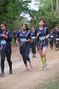BIB: 6119, 127, 1830
                            <button type="button" onclick="openModal(4462343)" class="btn btn-primary btn-sm float-right btn-popup" data-toggle="modal" data-target=".modal-high-quality">
                        <i class="fas fa-shopping-cart"></i> Add to Cart
                    </button>
                                            <button type="button" onclick="isThisMe(4462343, true)" class="btn btn-success btn-sm float-right btn-popup btn-isme hidden" data-toggle="tooltip" data-placement="bottom" title="นี่คือรูปของคุณใช่ไหม คลิกที่นี่เพื่อเอาเข้าอัลบั้ม">
                        <i class="fas fa-plus"></i> Add to album
                    </button>
                    <button type="button" onclick="isThisMe(4462343, false)" class="btn btn-warning btn-sm float-right btn-popup btn-isnotme hidden">
                        <i class="fas fa-ban"></i> Remove from album
                    </button>