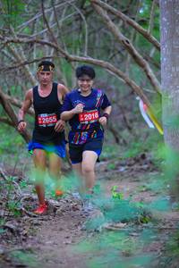 BIB: 2655, 2016, 
                            <button type="button" onclick="openModal(4551478)" class="btn btn-primary btn-sm float-right btn-popup" data-toggle="modal" data-target=".modal-high-quality">
                        <i class="fas fa-shopping-cart"></i> Add to Cart
                    </button>
                                            <button type="button" onclick="isThisMe(4551478, true)" class="btn btn-success btn-sm float-right btn-popup btn-isme hidden" data-toggle="tooltip" data-placement="bottom" title="นี่คือรูปของคุณใช่ไหม คลิกที่นี่เพื่อเอาเข้าอัลบั้ม">
                        <i class="fas fa-plus"></i> Add to album
                    </button>
                    <button type="button" onclick="isThisMe(4551478, false)" class="btn btn-warning btn-sm float-right btn-popup btn-isnotme hidden">
                        <i class="fas fa-ban"></i> Remove from album
                    </button>