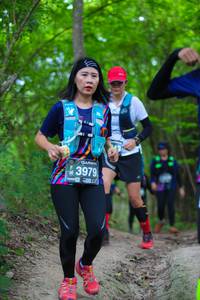 BIB: 53979
                            <button type="button" onclick="openModal(4272706)" class="btn btn-primary btn-sm float-right btn-popup" data-toggle="modal" data-target=".modal-high-quality">
                        <i class="fas fa-shopping-cart"></i> Add to Cart
                    </button>
                                            <button type="button" onclick="isThisMe(4272706, true)" class="btn btn-success btn-sm float-right btn-popup btn-isme hidden" data-toggle="tooltip" data-placement="bottom" title="นี่คือรูปของคุณใช่ไหม คลิกที่นี่เพื่อเอาเข้าอัลบั้ม">
                        <i class="fas fa-plus"></i> Add to album
                    </button>
                    <button type="button" onclick="isThisMe(4272706, false)" class="btn btn-warning btn-sm float-right btn-popup btn-isnotme hidden">
                        <i class="fas fa-ban"></i> Remove from album
                    </button>