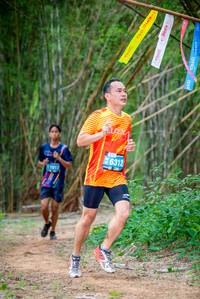 BIB: 6312
                            <button type="button" onclick="openModal(4443729)" class="btn btn-primary btn-sm float-right btn-popup" data-toggle="modal" data-target=".modal-high-quality">
                        <i class="fas fa-shopping-cart"></i> Add to Cart
                    </button>
                                            <button type="button" onclick="isThisMe(4443729, true)" class="btn btn-success btn-sm float-right btn-popup btn-isme hidden" data-toggle="tooltip" data-placement="bottom" title="นี่คือรูปของคุณใช่ไหม คลิกที่นี่เพื่อเอาเข้าอัลบั้ม">
                        <i class="fas fa-plus"></i> Add to album
                    </button>
                    <button type="button" onclick="isThisMe(4443729, false)" class="btn btn-warning btn-sm float-right btn-popup btn-isnotme hidden">
                        <i class="fas fa-ban"></i> Remove from album
                    </button>