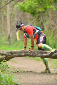 BIB: 5238
                            <button type="button" onclick="openModal(4013561)" class="btn btn-primary btn-sm float-right btn-popup" data-toggle="modal" data-target=".modal-high-quality">
                        <i class="fas fa-shopping-cart"></i> Add to Cart
                    </button>
                                            <button type="button" onclick="isThisMe(4013561, true)" class="btn btn-success btn-sm float-right btn-popup btn-isme hidden" data-toggle="tooltip" data-placement="bottom" title="นี่คือรูปของคุณใช่ไหม คลิกที่นี่เพื่อเอาเข้าอัลบั้ม">
                        <i class="fas fa-plus"></i> Add to album
                    </button>
                    <button type="button" onclick="isThisMe(4013561, false)" class="btn btn-warning btn-sm float-right btn-popup btn-isnotme hidden">
                        <i class="fas fa-ban"></i> Remove from album
                    </button>