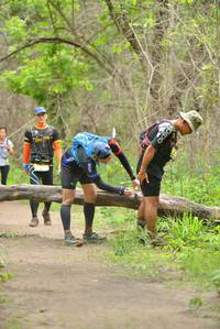 BIB: 5202, 5043
                            <button type="button" onclick="openModal(4013280)" class="btn btn-primary btn-sm float-right btn-popup" data-toggle="modal" data-target=".modal-high-quality">
                        <i class="fas fa-shopping-cart"></i> Add to Cart
                    </button>
                                            <button type="button" onclick="isThisMe(4013280, true)" class="btn btn-success btn-sm float-right btn-popup btn-isme hidden" data-toggle="tooltip" data-placement="bottom" title="นี่คือรูปของคุณใช่ไหม คลิกที่นี่เพื่อเอาเข้าอัลบั้ม">
                        <i class="fas fa-plus"></i> Add to album
                    </button>
                    <button type="button" onclick="isThisMe(4013280, false)" class="btn btn-warning btn-sm float-right btn-popup btn-isnotme hidden">
                        <i class="fas fa-ban"></i> Remove from album
                    </button>