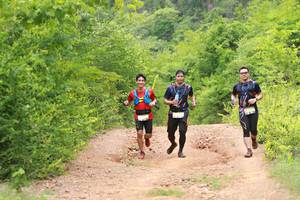 BIB: 
                            <button type="button" onclick="openModal(3903431)" class="btn btn-primary btn-sm float-right btn-popup" data-toggle="modal" data-target=".modal-high-quality">
                        <i class="fas fa-shopping-cart"></i> Add to Cart
                    </button>
                                            <button type="button" onclick="isThisMe(3903431, true)" class="btn btn-success btn-sm float-right btn-popup btn-isme hidden" data-toggle="tooltip" data-placement="bottom" title="นี่คือรูปของคุณใช่ไหม คลิกที่นี่เพื่อเอาเข้าอัลบั้ม">
                        <i class="fas fa-plus"></i> Add to album
                    </button>
                    <button type="button" onclick="isThisMe(3903431, false)" class="btn btn-warning btn-sm float-right btn-popup btn-isnotme hidden">
                        <i class="fas fa-ban"></i> Remove from album
                    </button>