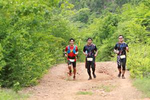 BIB: 
                            <button type="button" onclick="openModal(3903445)" class="btn btn-primary btn-sm float-right btn-popup" data-toggle="modal" data-target=".modal-high-quality">
                        <i class="fas fa-shopping-cart"></i> Add to Cart
                    </button>
                                            <button type="button" onclick="isThisMe(3903445, true)" class="btn btn-success btn-sm float-right btn-popup btn-isme hidden" data-toggle="tooltip" data-placement="bottom" title="นี่คือรูปของคุณใช่ไหม คลิกที่นี่เพื่อเอาเข้าอัลบั้ม">
                        <i class="fas fa-plus"></i> Add to album
                    </button>
                    <button type="button" onclick="isThisMe(3903445, false)" class="btn btn-warning btn-sm float-right btn-popup btn-isnotme hidden">
                        <i class="fas fa-ban"></i> Remove from album
                    </button>