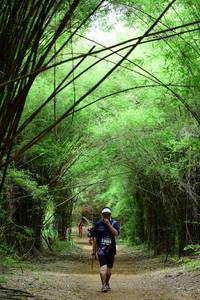 BIB: 3303
                            <button type="button" onclick="openModal(4293627)" class="btn btn-primary btn-sm float-right btn-popup" data-toggle="modal" data-target=".modal-high-quality">
                        <i class="fas fa-shopping-cart"></i> Add to Cart
                    </button>
                                            <button type="button" onclick="isThisMe(4293627, true)" class="btn btn-success btn-sm float-right btn-popup btn-isme hidden" data-toggle="tooltip" data-placement="bottom" title="นี่คือรูปของคุณใช่ไหม คลิกที่นี่เพื่อเอาเข้าอัลบั้ม">
                        <i class="fas fa-plus"></i> Add to album
                    </button>
                    <button type="button" onclick="isThisMe(4293627, false)" class="btn btn-warning btn-sm float-right btn-popup btn-isnotme hidden">
                        <i class="fas fa-ban"></i> Remove from album
                    </button>