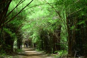 BIB: 
                            <button type="button" onclick="openModal(4294276)" class="btn btn-primary btn-sm float-right btn-popup" data-toggle="modal" data-target=".modal-high-quality">
                        <i class="fas fa-shopping-cart"></i> Add to Cart
                    </button>
                                            <button type="button" onclick="isThisMe(4294276, true)" class="btn btn-success btn-sm float-right btn-popup btn-isme hidden" data-toggle="tooltip" data-placement="bottom" title="นี่คือรูปของคุณใช่ไหม คลิกที่นี่เพื่อเอาเข้าอัลบั้ม">
                        <i class="fas fa-plus"></i> Add to album
                    </button>
                    <button type="button" onclick="isThisMe(4294276, false)" class="btn btn-warning btn-sm float-right btn-popup btn-isnotme hidden">
                        <i class="fas fa-ban"></i> Remove from album
                    </button>