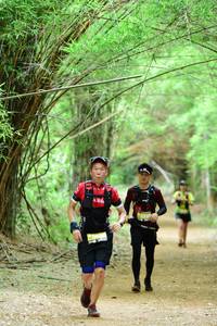 BIB: 
                            <button type="button" onclick="openModal(4307199)" class="btn btn-primary btn-sm float-right btn-popup" data-toggle="modal" data-target=".modal-high-quality">
                        <i class="fas fa-shopping-cart"></i> Add to Cart
                    </button>
                                            <button type="button" onclick="isThisMe(4307199, true)" class="btn btn-success btn-sm float-right btn-popup btn-isme hidden" data-toggle="tooltip" data-placement="bottom" title="นี่คือรูปของคุณใช่ไหม คลิกที่นี่เพื่อเอาเข้าอัลบั้ม">
                        <i class="fas fa-plus"></i> Add to album
                    </button>
                    <button type="button" onclick="isThisMe(4307199, false)" class="btn btn-warning btn-sm float-right btn-popup btn-isnotme hidden">
                        <i class="fas fa-ban"></i> Remove from album
                    </button>